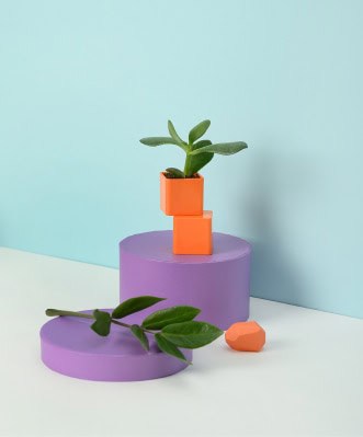 Greenhouse plant in colorful geometric pots demonstrating innovative gardening solutions at A1 Greenhouses.