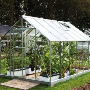 Modern glass greenhouse with lush vegetable and plant cultivation, high-quality metal framework, ideal for year-round gardening, custom-designed by A1 Greenhouses Ireland.