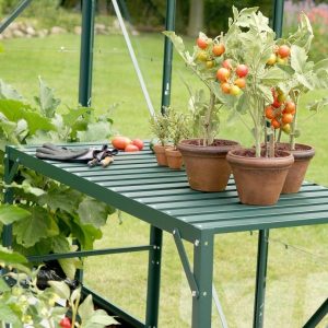 Bright green greenhouse shelving unit with potted tomato plants, gardening tools, and ripe tomatoes, ideal for home gardening and plant cultivation, showcasing durable and versatile greenhouse features.