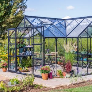 Durable black-framed glass greenhouse by A1 Greenhouses with lush garden surroundings, ideal for plant cultivation and gardening enthusiasts.