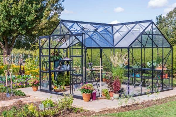 Durable black-framed glass greenhouse by A1 Greenhouses with lush garden surroundings, ideal for plant cultivation and gardening enthusiasts.