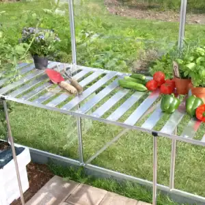 Bright outdoor greenhouse table with fresh vegetables and flowering plants, perfect for gardening enthusiasts and vegetable growers.