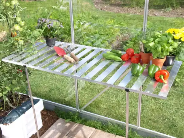 Bright outdoor greenhouse table with fresh vegetables and flowering plants, perfect for gardening enthusiasts and vegetable growers.