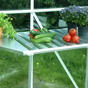Fresh cucumbers, tomatoes, and vibrant potted plants inside a greenhouse.