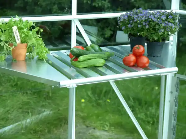 Fresh cucumbers, tomatoes, and vibrant potted plants inside a greenhouse.