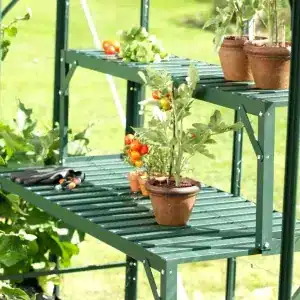 Greenhouse shelving with potted tomato plants, gardening tools, and vibrant greenery for optimum plant growth and indoor gardening solutions.