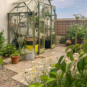 Multi-story glass greenhouse with plants and gardening tools, ideal for home garden gardening, plant cultivation, and greenhouse gardening solutions.