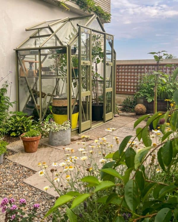 Multi-story glass greenhouse with plants and gardening tools, ideal for home garden gardening, plant cultivation, and greenhouse gardening solutions.