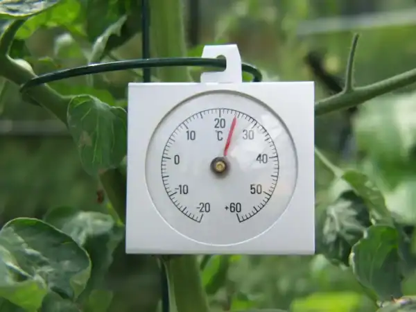 High-precision greenhouse temperature monitor inside a lush vegetable greenhouse for optimal plant growth. Designed for efficient climate control and plant health management.